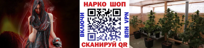 Где купить наркоту Анадырь АМФЕТАМИН  Галлюциногенные грибы  МЕФ  ГАШ  Cocaine 