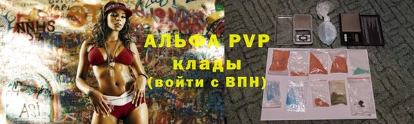 индика Великий Новгород